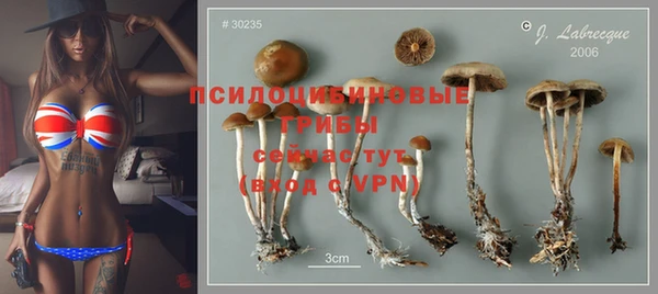 круглые Алексеевка