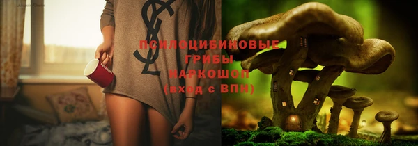 скорость Алексин