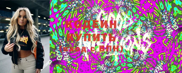 индика Алзамай