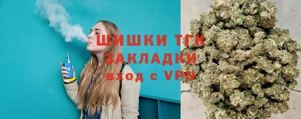 индика Алзамай