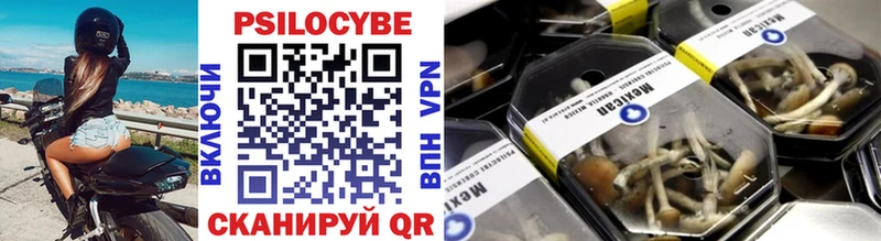 shop какой сайт  Бабаево  Псилоцибиновые грибы мухоморы 